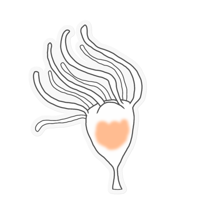 クリア - 100 x 100 (mm)