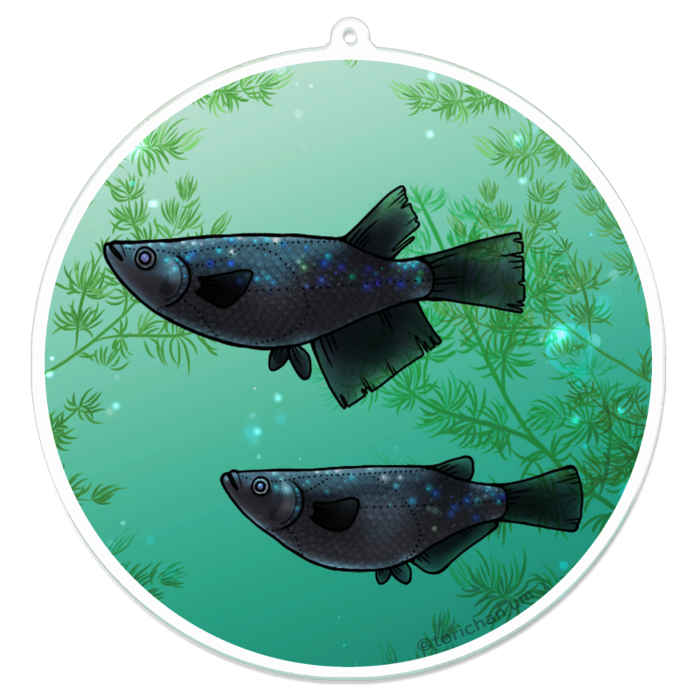 ブラックダイヤ　ー　100 x 100㍉／コーティングなし