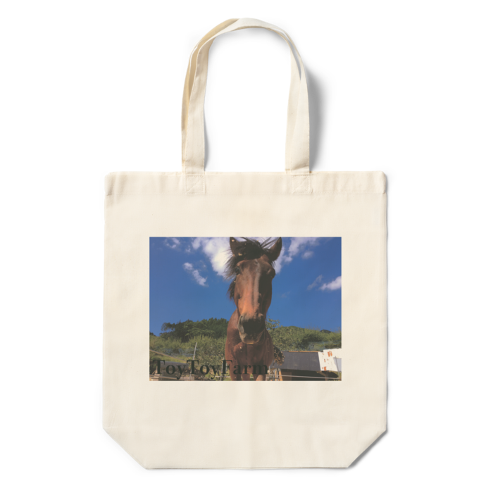 エコバッグ - 360×370×110(mm)