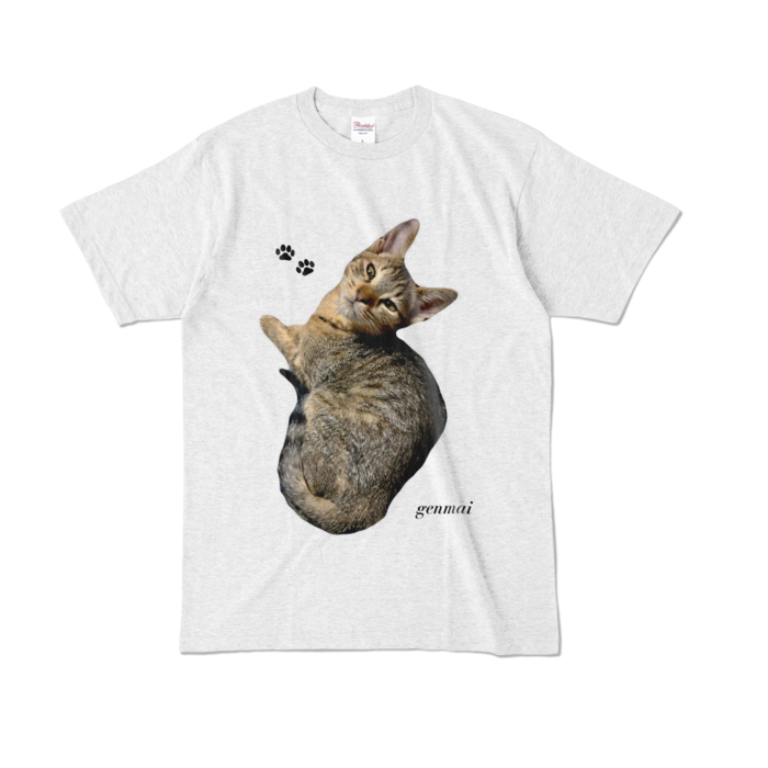 カラーTシャツ - L - アッシュ (淡色)