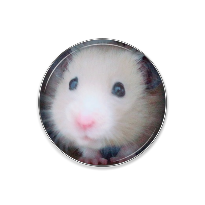 ピンバッジ - 丸形25mm