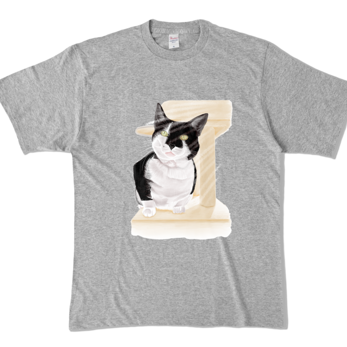 カラーTシャツ - XL - 杢グレー (濃色)