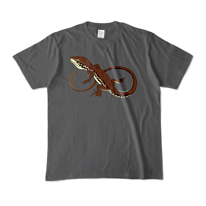カラーTシャツ - M - チャコール (濃色)