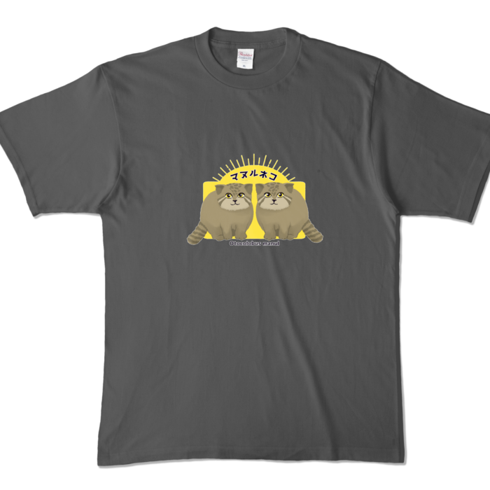 カラーTシャツ - XL - チャコール (濃色)