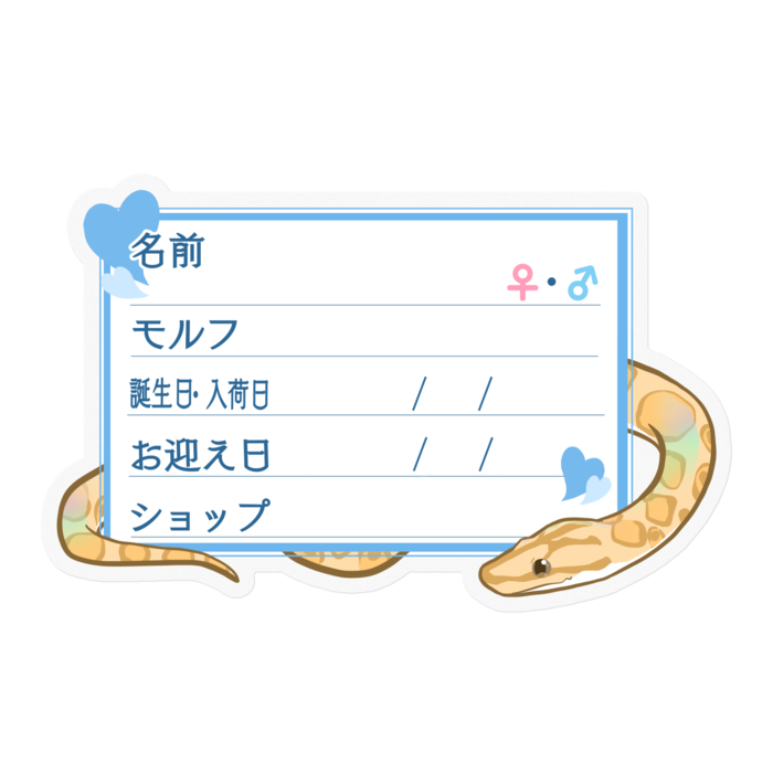 【🐍お名前ステッカー】コロニジ(パラディグマ) ‐ハート／ブルー