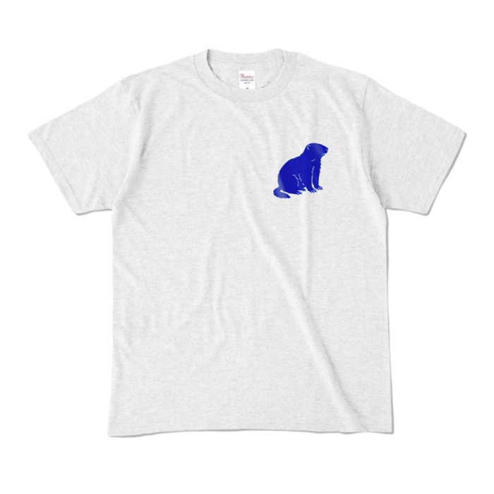 カラーTシャツ - M - アッシュ (淡色)