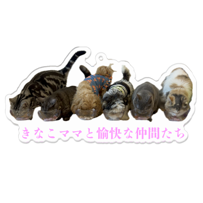 アクリルキーホルダー - 100 x 100 (mm)