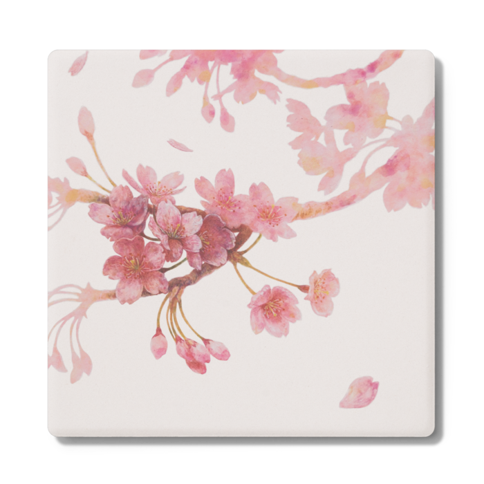 コースター「桜」