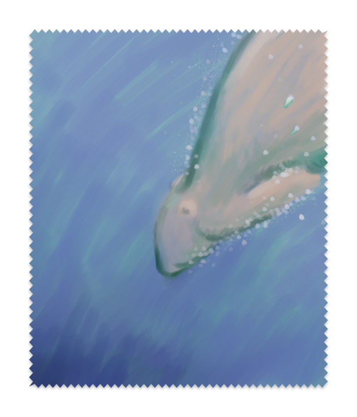 メガネ拭き
