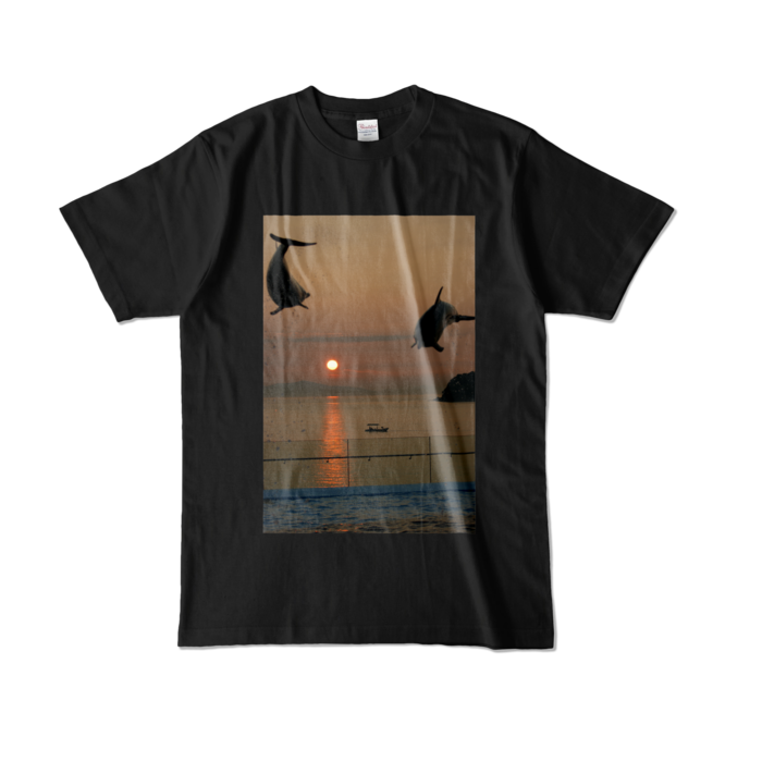 カラーTシャツ - L - ブラック (濃色)