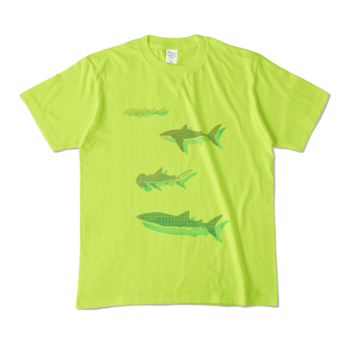 カラーTシャツ - M - ライトグリーン (淡色)