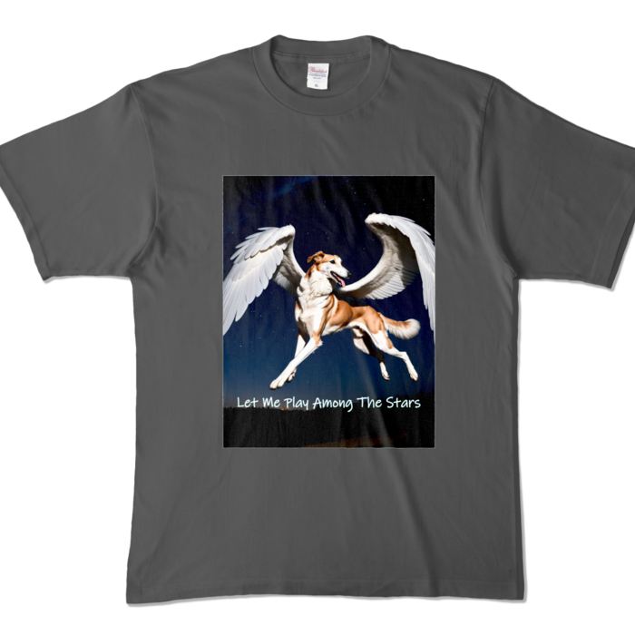 カラーTシャツ - XL - チャコール (濃色)