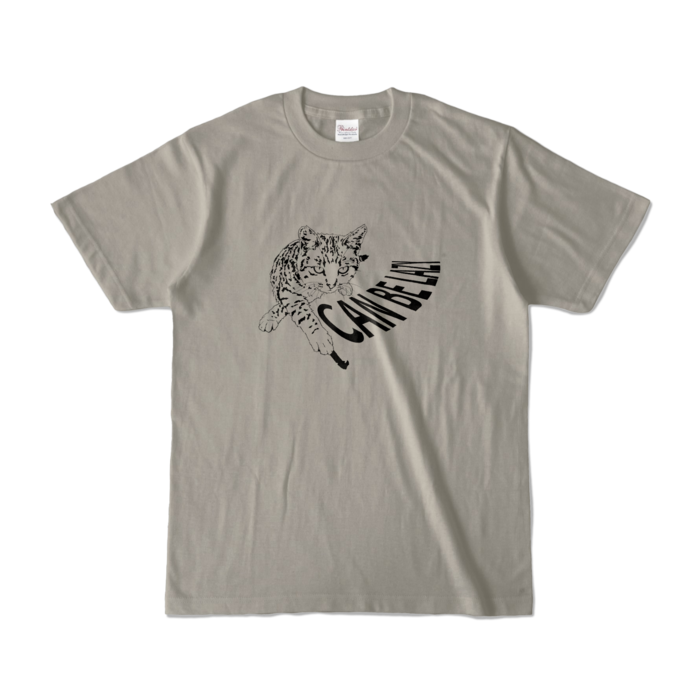 カラーTシャツ - S - シルバーグレー (淡色)