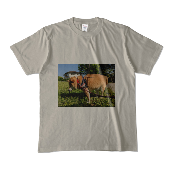 カラーTシャツ - M - シルバーグレー (淡色)