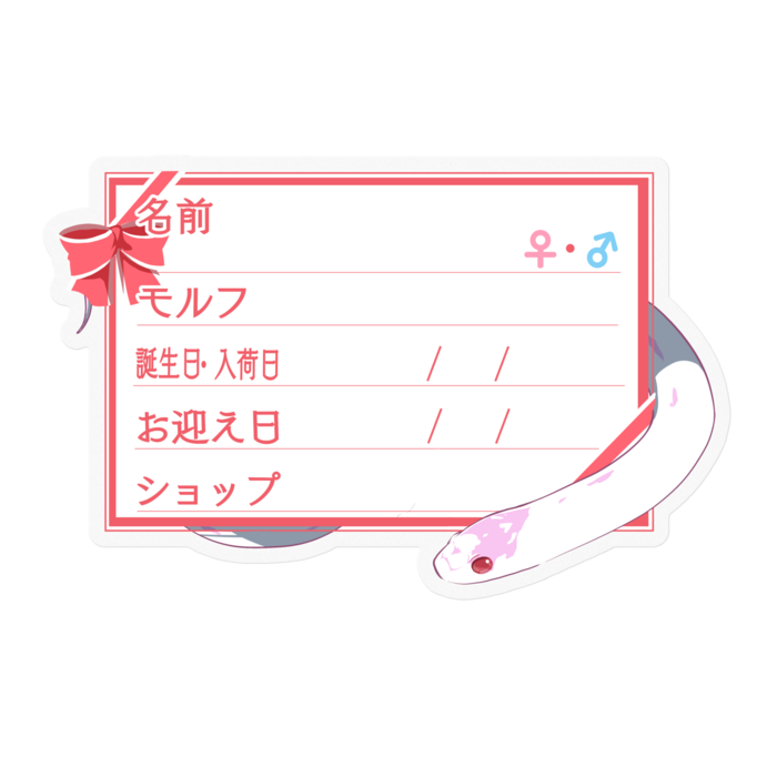 【🐍お名前ステッカー】カリキン(アルビノハイホワイト) ‐リボン／ピンク