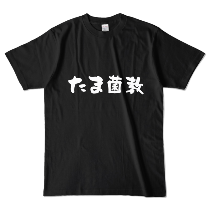 カラーTシャツ - L - ブラック (濃色)