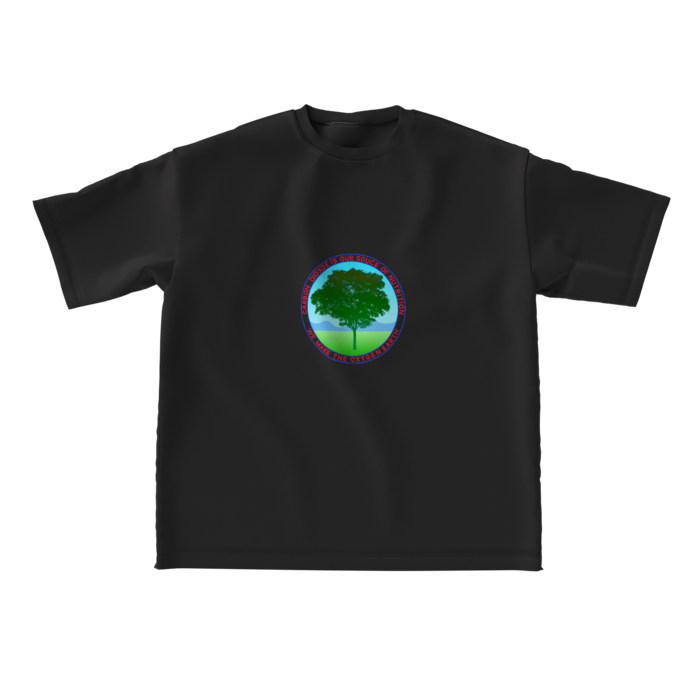 ビッグシルエットTシャツ - L - 正面