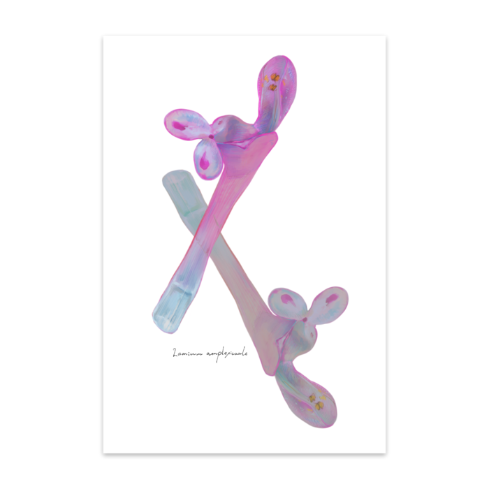 ポストカード(10枚セット) - 竹はだGA180kg