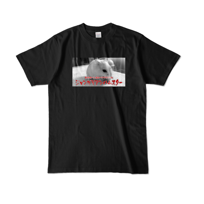 カラーTシャツ - L - ブラック (濃色)