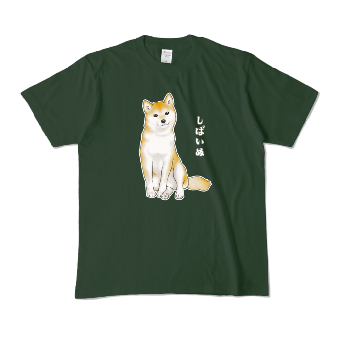 カラーTシャツ - M - フォレスト (濃色) / Size M, Forest