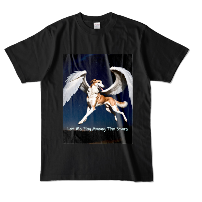 カラーTシャツ - L - ブラック (濃色)