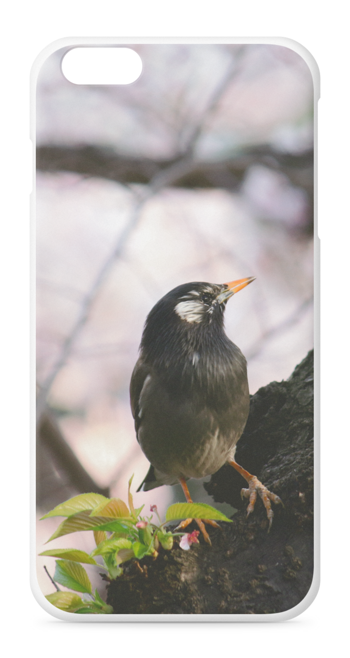 iPhoneケース - iPhone 6 Plus / 6s Plus - 正面印刷のみ