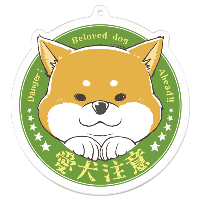 M（約70 x 70 mm）