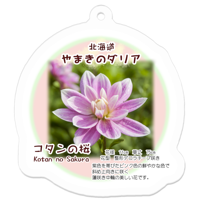 アクリルキーホルダー - 50 x 50 (mm)
