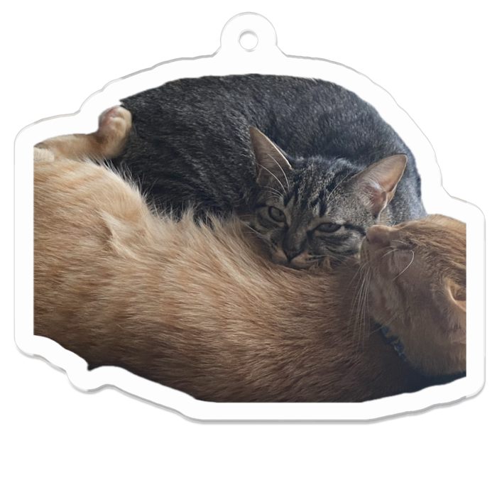 アクリルキーホルダー - 50 x 50 (mm)