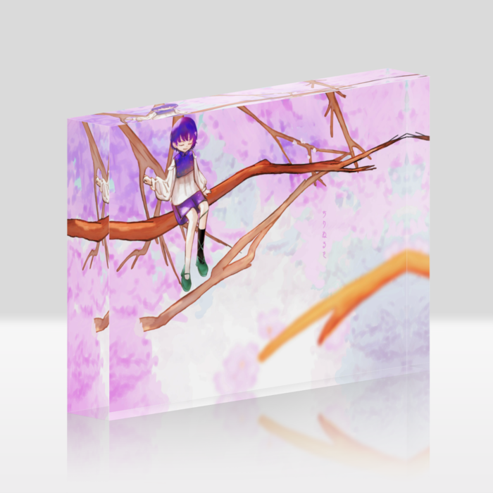 アクリルブロック - 148x100mm(1)