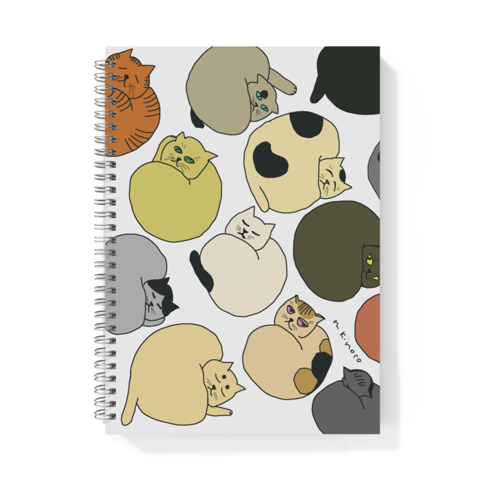 リングノート - B5