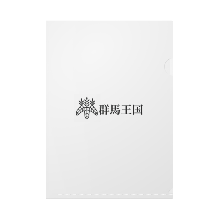 クリアファイル - A4