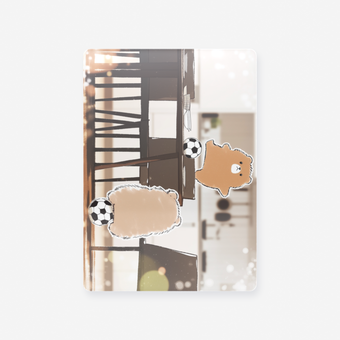 クリアカード - トレカ（63 × 88mm）