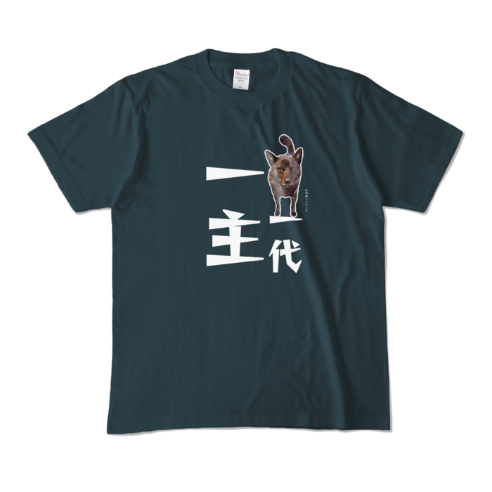 カラーTシャツ - M - デニム (濃色)