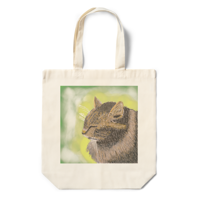 エコバッグ - 360×370×110(mm)