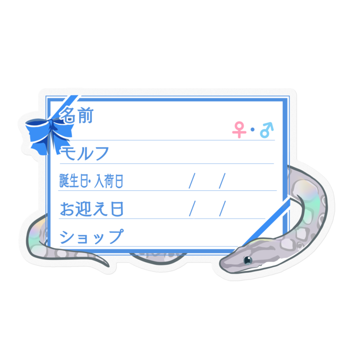【🐍お名前ステッカー】コロニジ(アザン) ‐リボン／ブルー