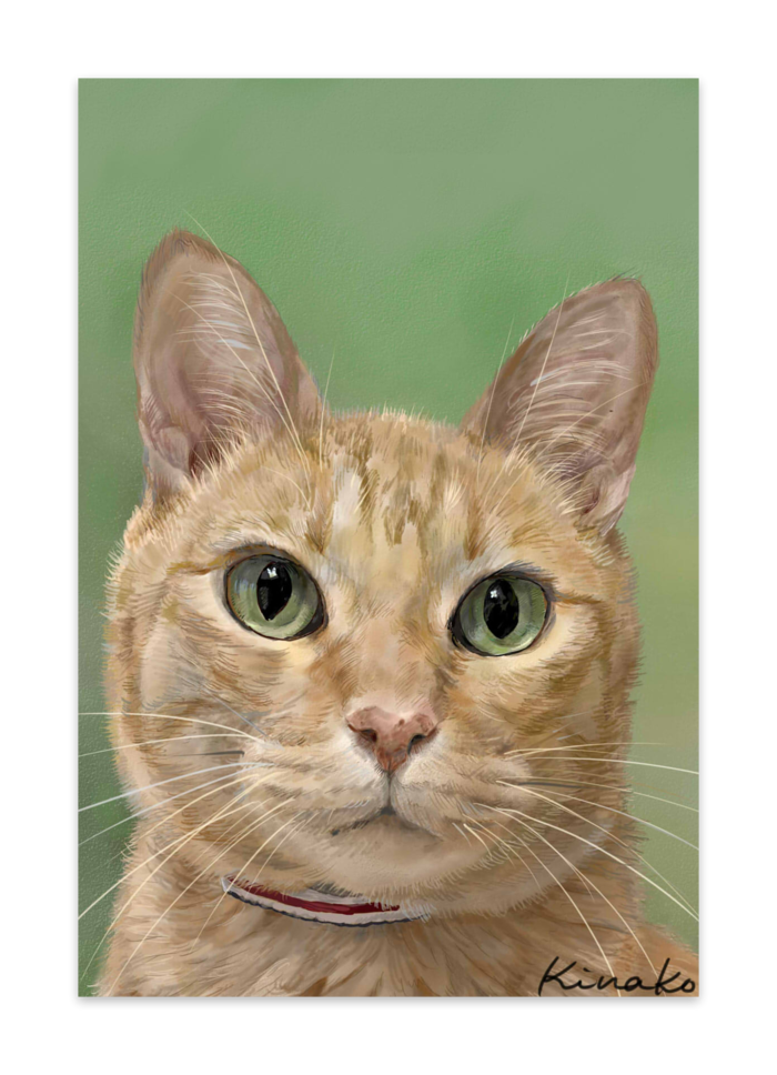 ポストカード(10セット) - ヴァンヌーボVGスノーホワイト195kg