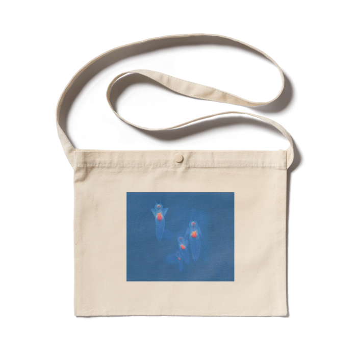 サコッシュ - 300 x 230 (mm)