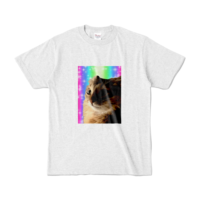 カラーTシャツ - S - アッシュ (淡色)