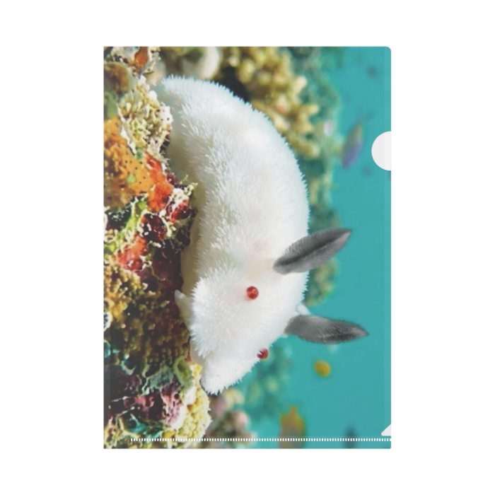 クリアファイル - A4