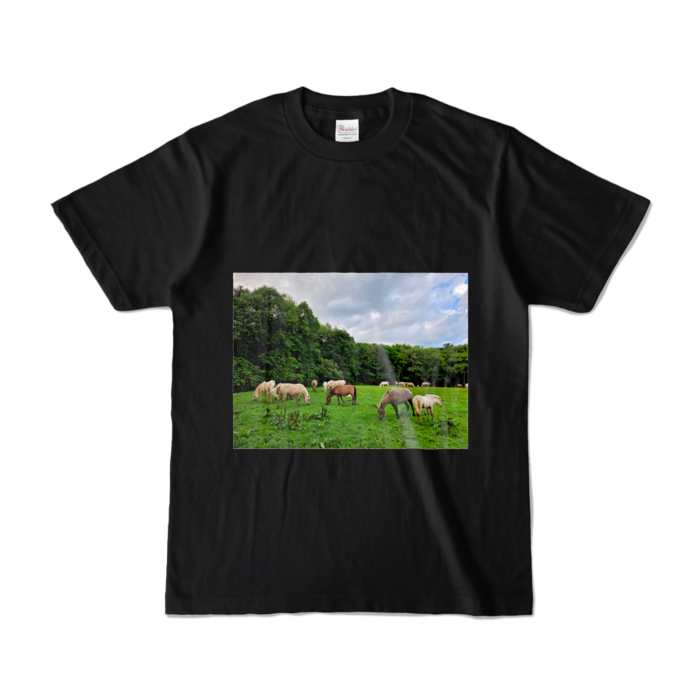 カラーTシャツ - S - ブラック (濃色)