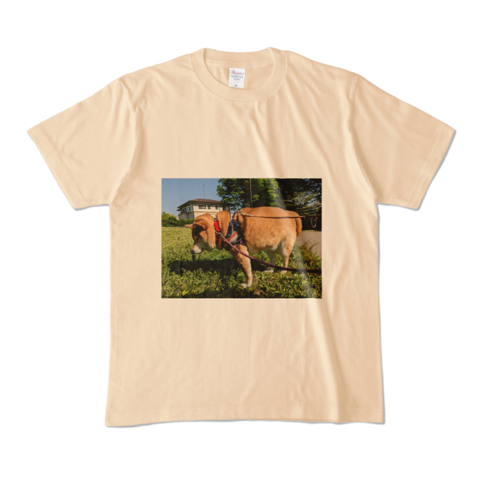 カラーTシャツ - M - ナチュラル (淡色)