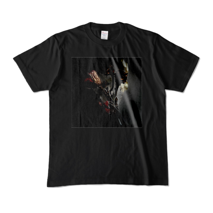 カラーTシャツ - M - ブラック (濃色)