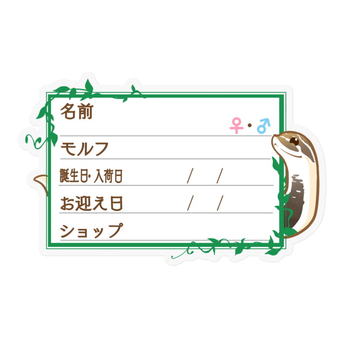 ใ๐ใๅๅในใใใซใผใใทใทใใ(ในใผใใผใณใณใ) โใใฟ