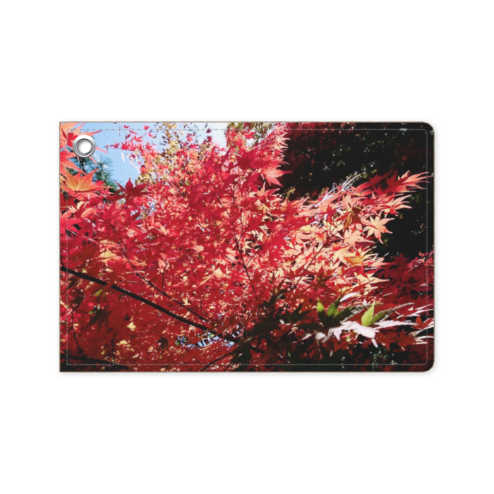 パスケース - 70 x 105 (mm)