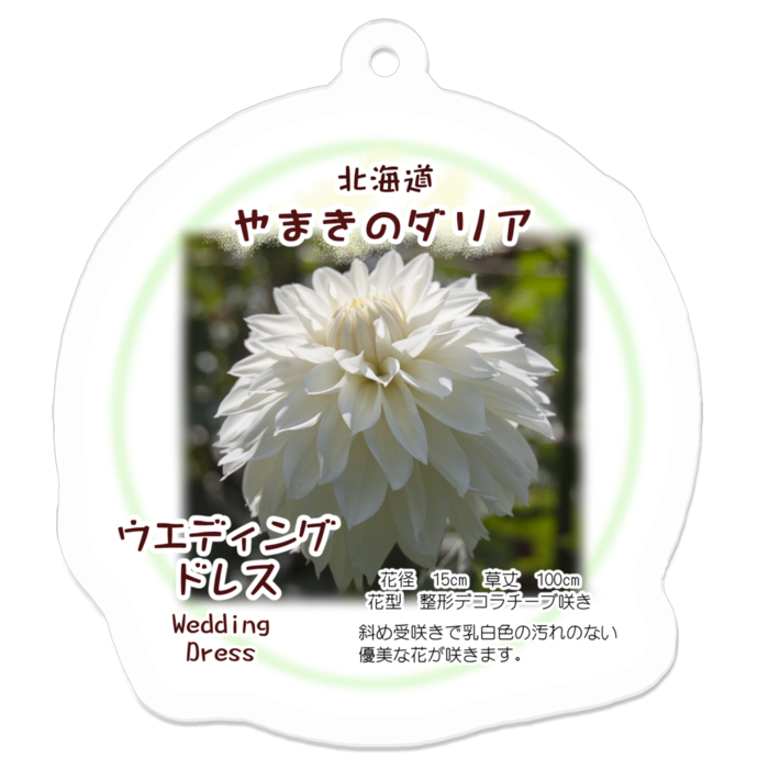 アクリルキーホルダー - 50 x 50 (mm)