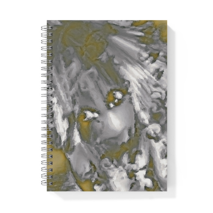 リングノート - A5