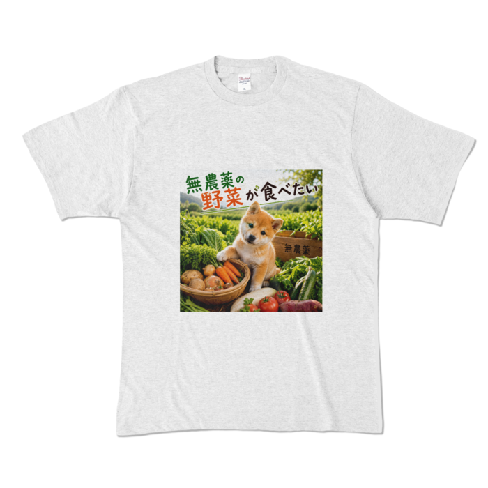 カラーTシャツ - XL - アッシュ （淡色）