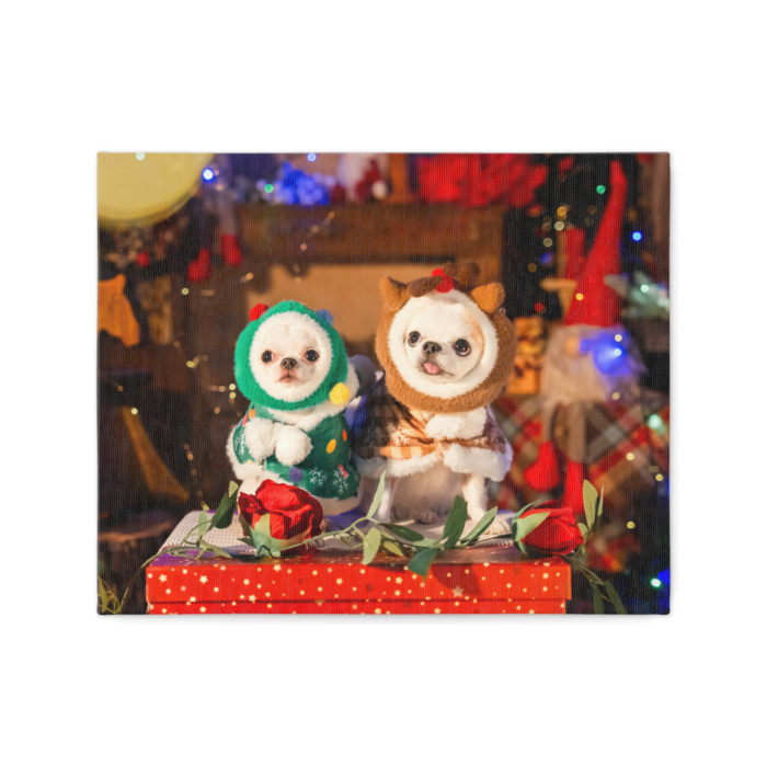 キャンバス - F3(1)