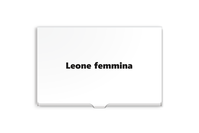 名刺入れ - 95 x 61 (mm)